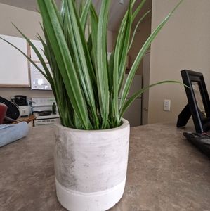 Small fake plant